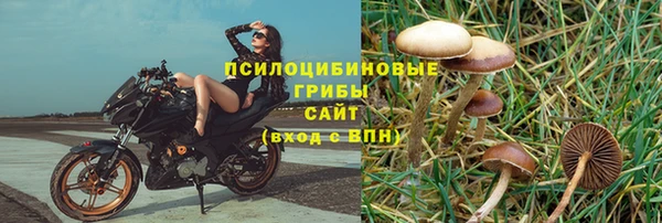 спиды Армянск