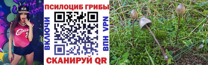Галлюциногенные грибы GOLDEN TEACHER  даркнет состав  Мамоново  купить наркотики сайты  ссылка на мегу tor 